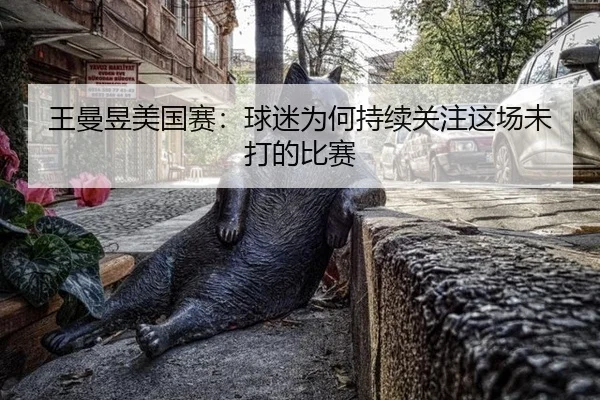 王曼昱美国赛：球迷为何持续关注这场未打的比赛
